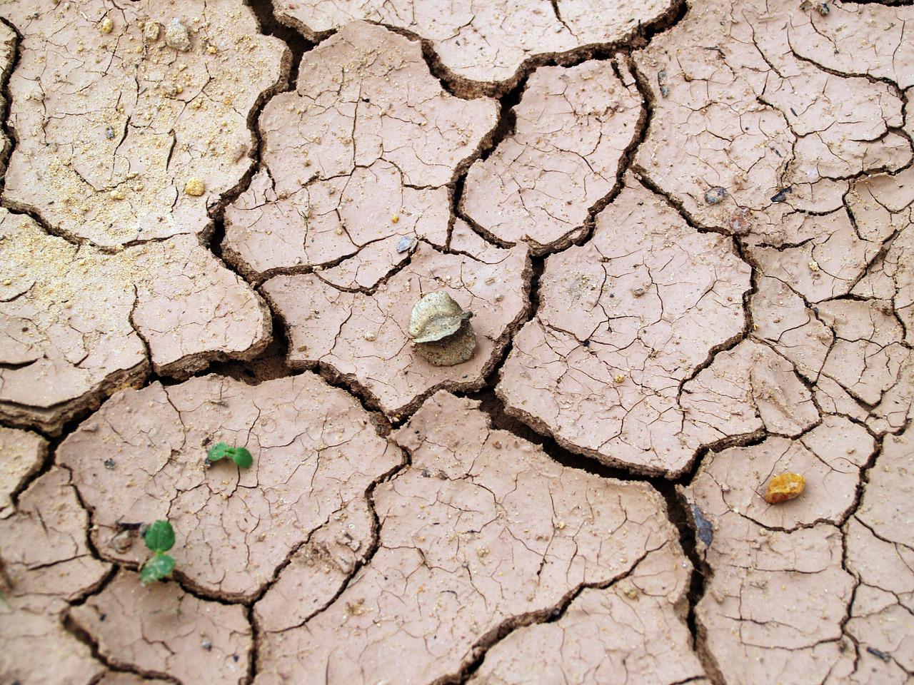 Terrain argileux